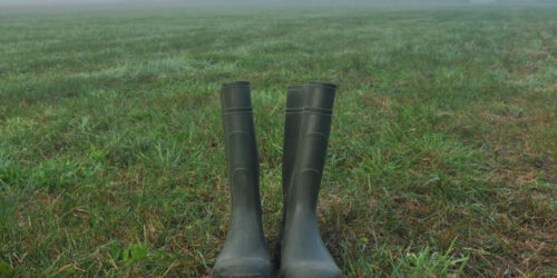 4 Bogs boots for wet or snowy weather