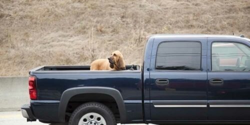 5 Top-Rated Truck Bed Covers to Choose From