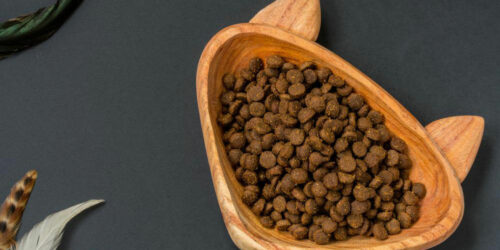 3 healthy canned dog food for your furry friend