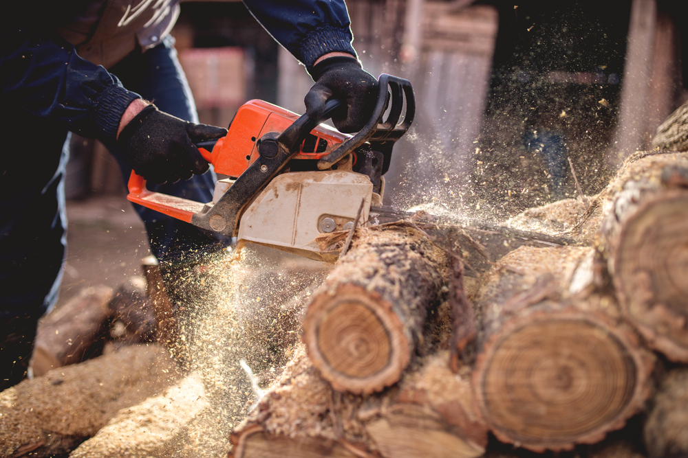 All You Need to Know When You Buy Chainsaws