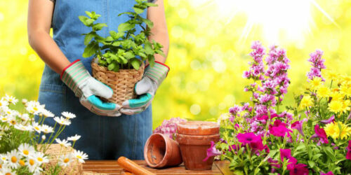 An overview of home-based gardening business