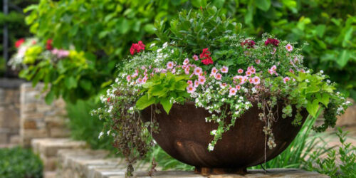 Creative garden planter ideas