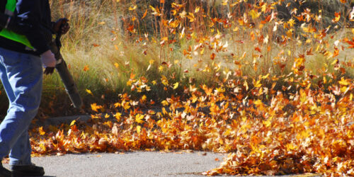 Different Types of Gas Leaf Blowers