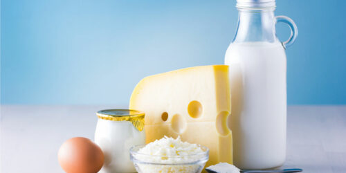 Everything to know about dairy products and eggs