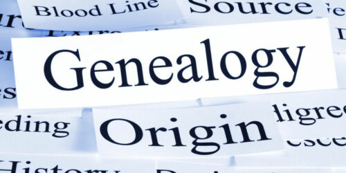 Explore your roots &#8211; Genealogy