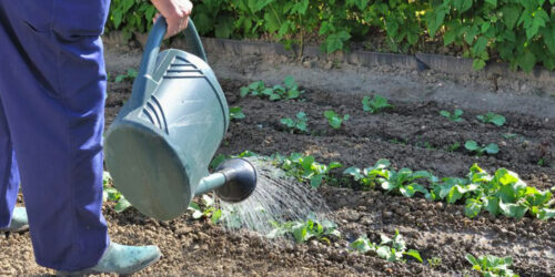 Gardening made easy!