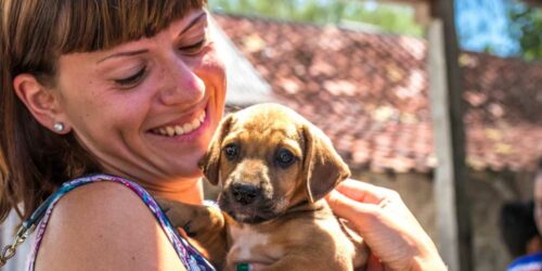 Important Factors to Consider Before Adopting Puppies