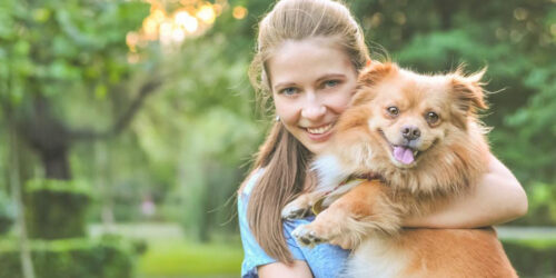 Important decisions you need to make before adopting a dog