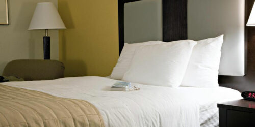 Latex mattresses vs. memory foam mattresses – A comparative study