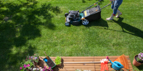 Lawnmowers Worth Buying During Sales