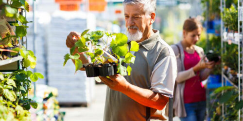 Love gardening? Here&#8217;s how you can start a garden in your backyard