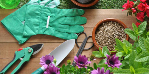 Make your gardening easy and effortless using the right garden tools