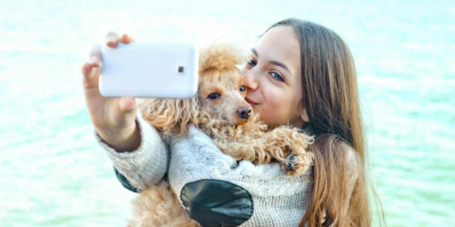 Pet photography tips for natural clicks