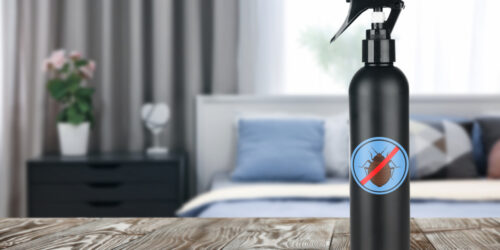 Popular Bed Bug Sprays to Choose From