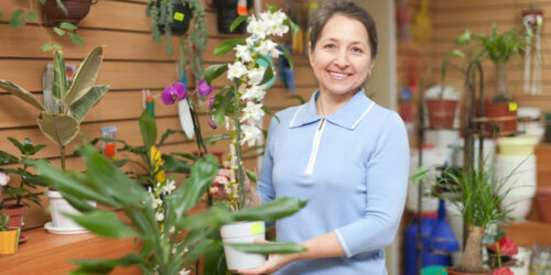 Repot your orchids with care