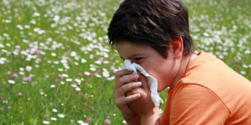 Signs of pollen allergies one should know about