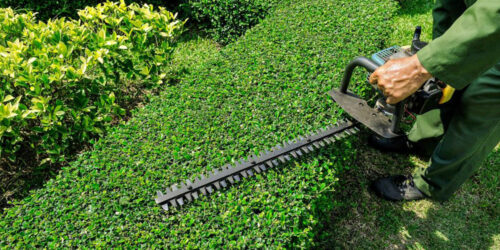 The best weed trimmers to beautify your garden