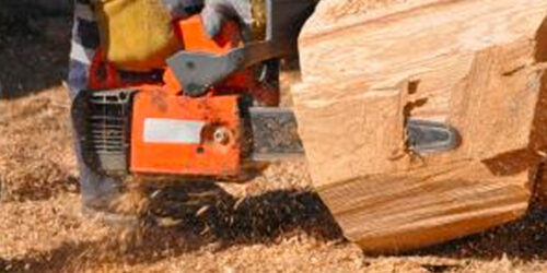 Tree removal services – benefits, costs and more