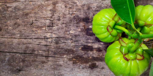 4 Commonly Asked Questions About Garcinia Cambogia