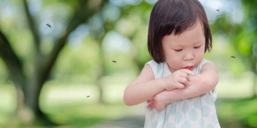 7 Common Spring Allergies Symptoms