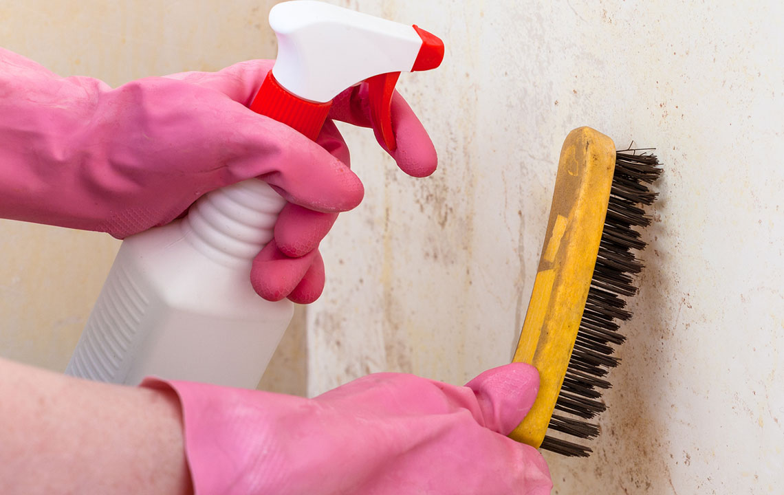 3 natural ways to remove mold