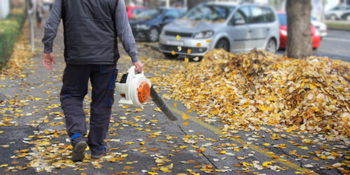 A Glance At The Best Leaf Blowers In 2018