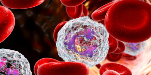 All About Neutrophils In The Human Body