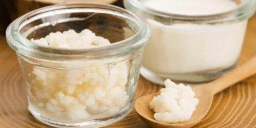 All You Need to Know about Probiotics