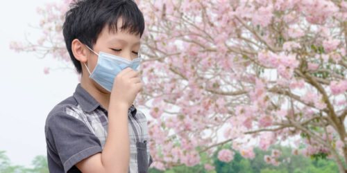 All You Need to Know about Signs of Pollen Allergies