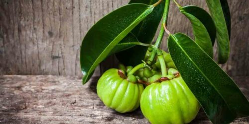 Garcinia &#8211; Its Proposed Benefits and Side Effects