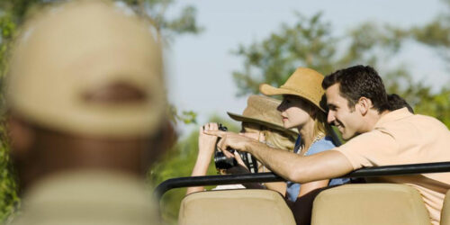 Helpful Tips for Your First African Safari Tour