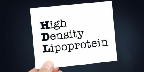 Here&#8217;s How to Boost Your HDL Cholesterol Levels