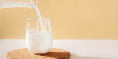 Lactose-free milk – Top 3 products