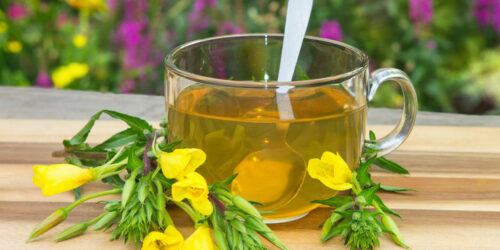 Popular Natural Remedies For Treating Allergies