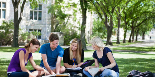 Popular online degrees that you can study from accredited colleges