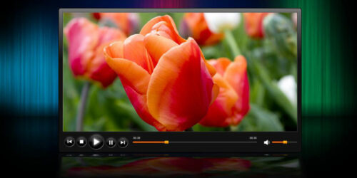 Roku Media Player – A closer insight