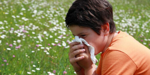 Simple Steps to Understand Symptoms and Treatments of Mold Allergies