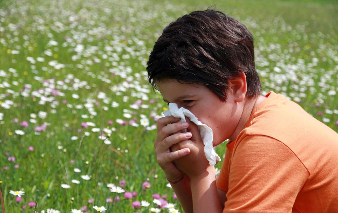 Simple Steps to Understand Symptoms and Treatments of Mold Allergies