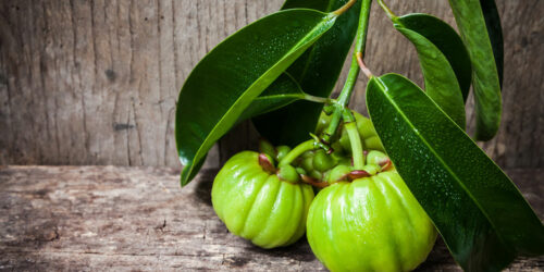 Side Effects of Garcinia Cambogia that You Should Know About