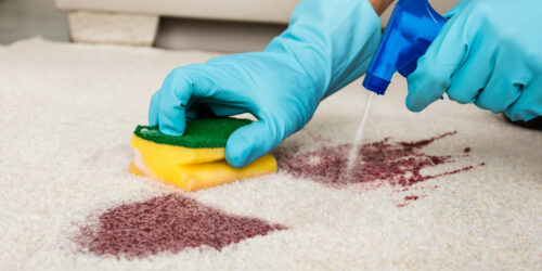 Tips To Pick The Best Carpet Stain Removers