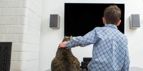 Top Samsung 32-inch TVs for your next buy