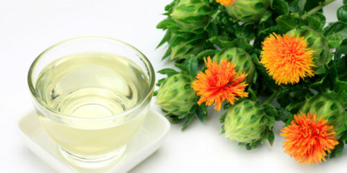 Know the Wonder Ingredient of CLA Safflower Oil