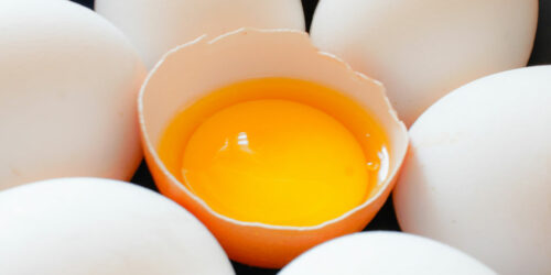 7 Nutritious Foods Rich in Vitamin D