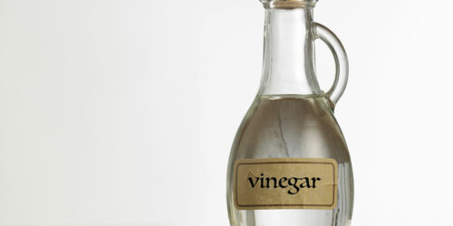 White Vinegar for Ant Control – How It Works and Ways to Use