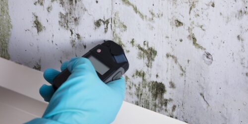 Home Tests for Mold: A Comprehensive Guide to Ensuring a Safe Living Environment